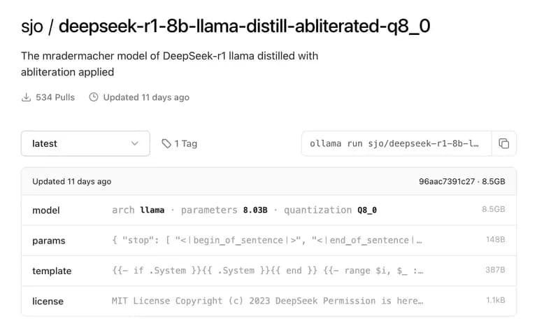 Deepseek R1 のインストールと Web サービスとしての実装方法-5