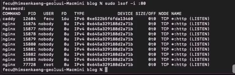 nginxからcaddyへのマイグレーション-4