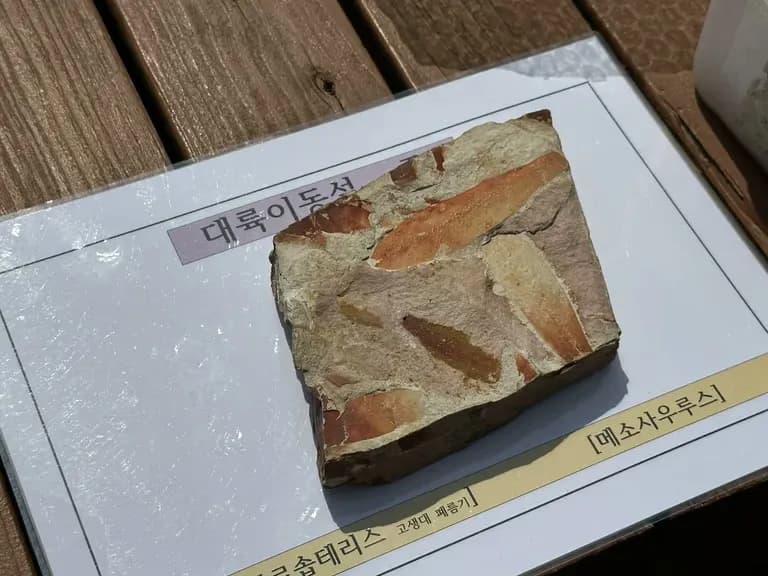 火星の恐竜の卵化石地、火星国際ジオパーク探訪記-4