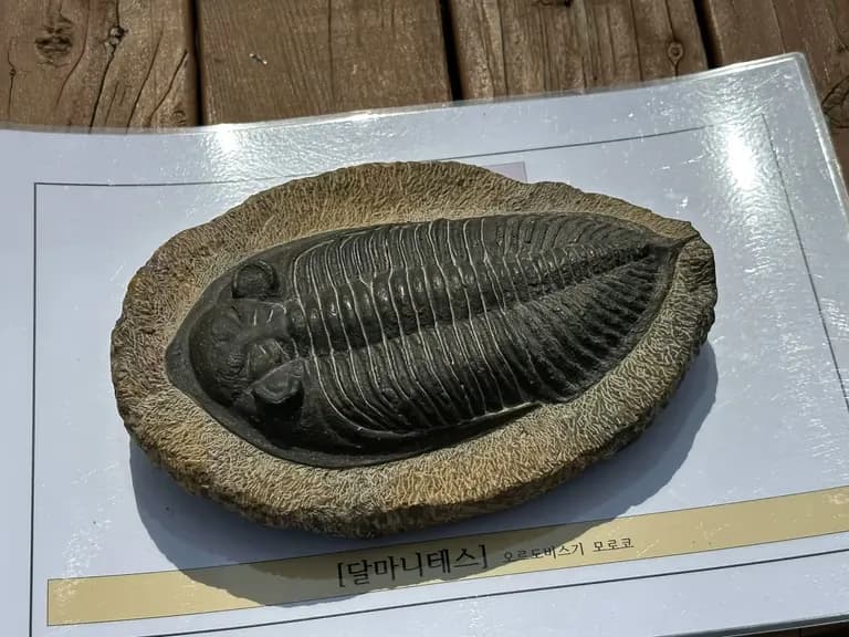 火星の恐竜の卵化石地、火星国際ジオパーク探訪記-5