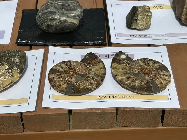 火星の恐竜の卵化石地、火星国際ジオパーク探訪記-6