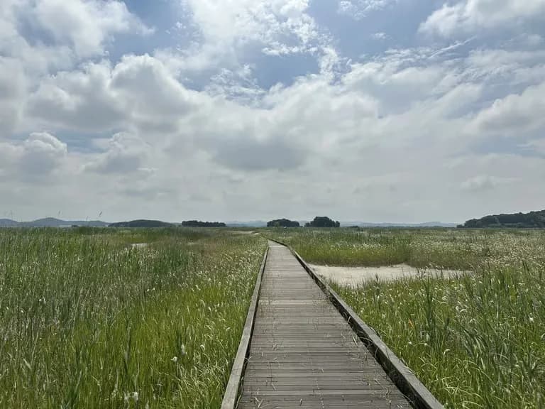 火星の恐竜の卵化石地、火星国際ジオパーク探訪記-2