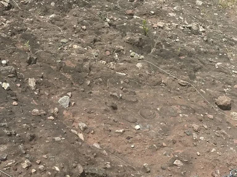 火星の恐竜の卵化石地、火星国際ジオパーク探訪記-16