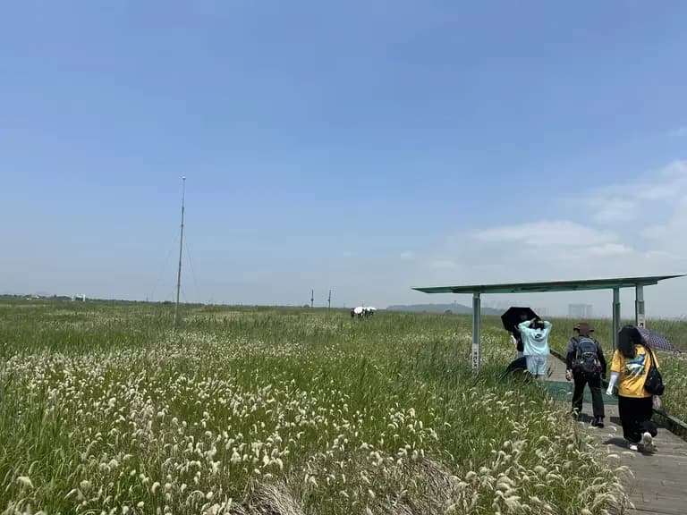 火星の恐竜の卵化石地、火星国際ジオパーク探訪記-19