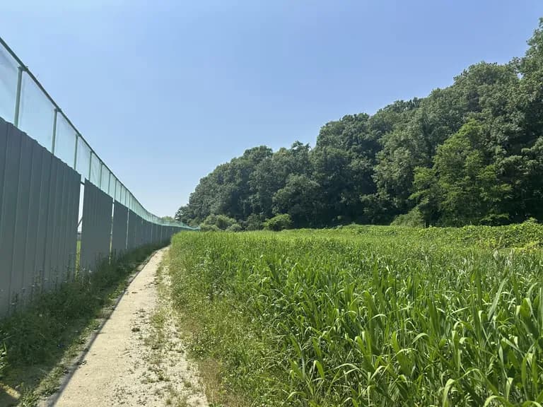 火星の恐竜の卵化石地、火星国際ジオパーク探訪記-21