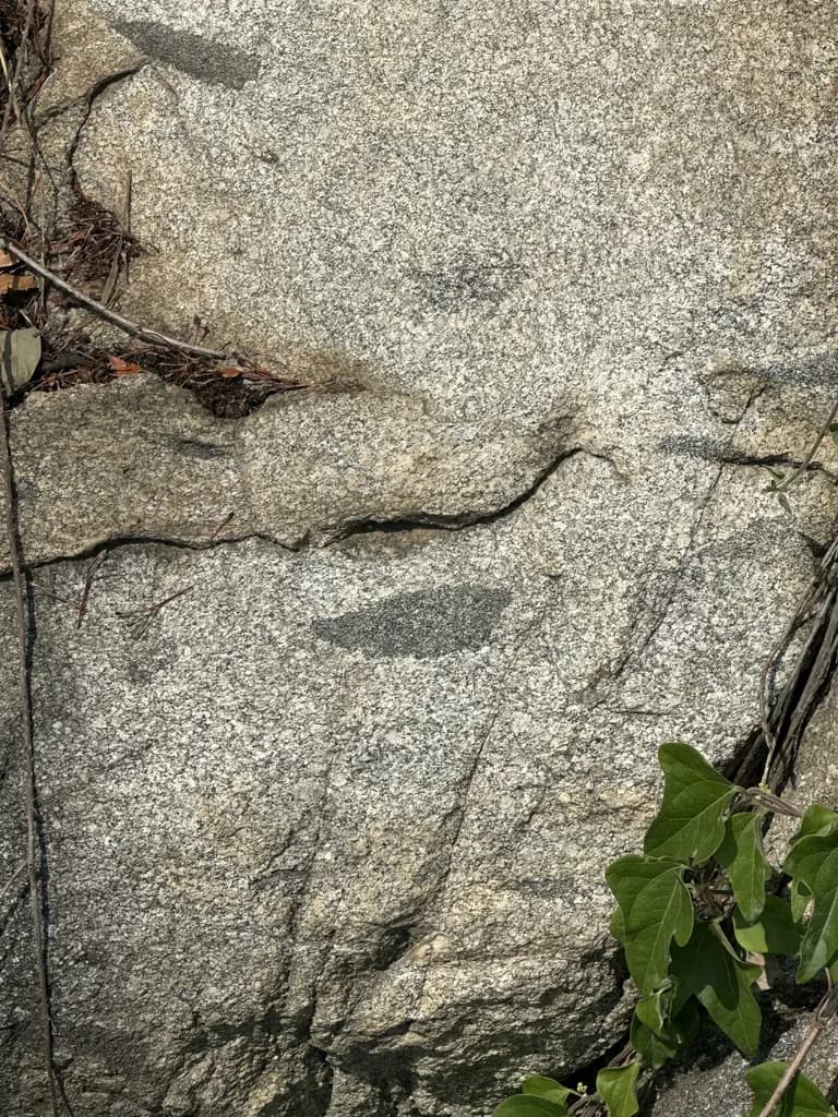 火星の恐竜の卵化石地、火星国際ジオパーク探訪記-29