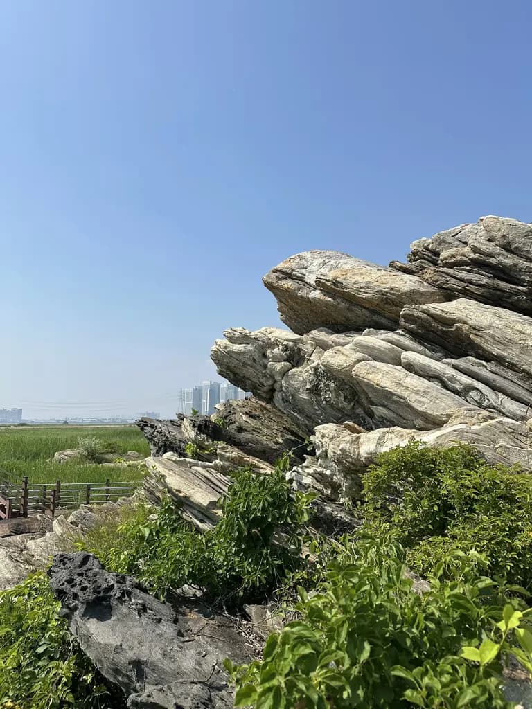 火星の恐竜の卵化石地、火星国際ジオパーク探訪記-31