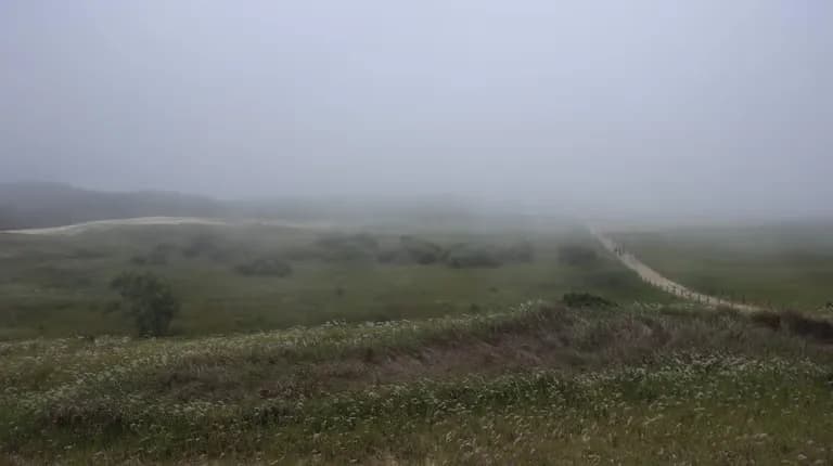 韓国の砂漠、そして海霧 - シンドゥリ海岸砂丘-9