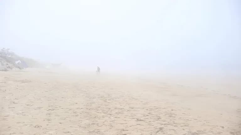 韓国の砂漠、そして海霧 - シンドゥリ海岸砂丘-3