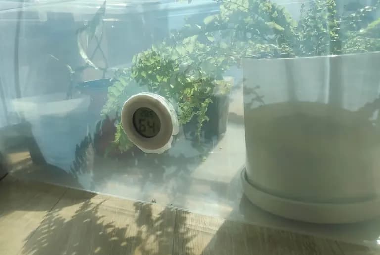 Crear un invernadero con cajas de Daiso-6