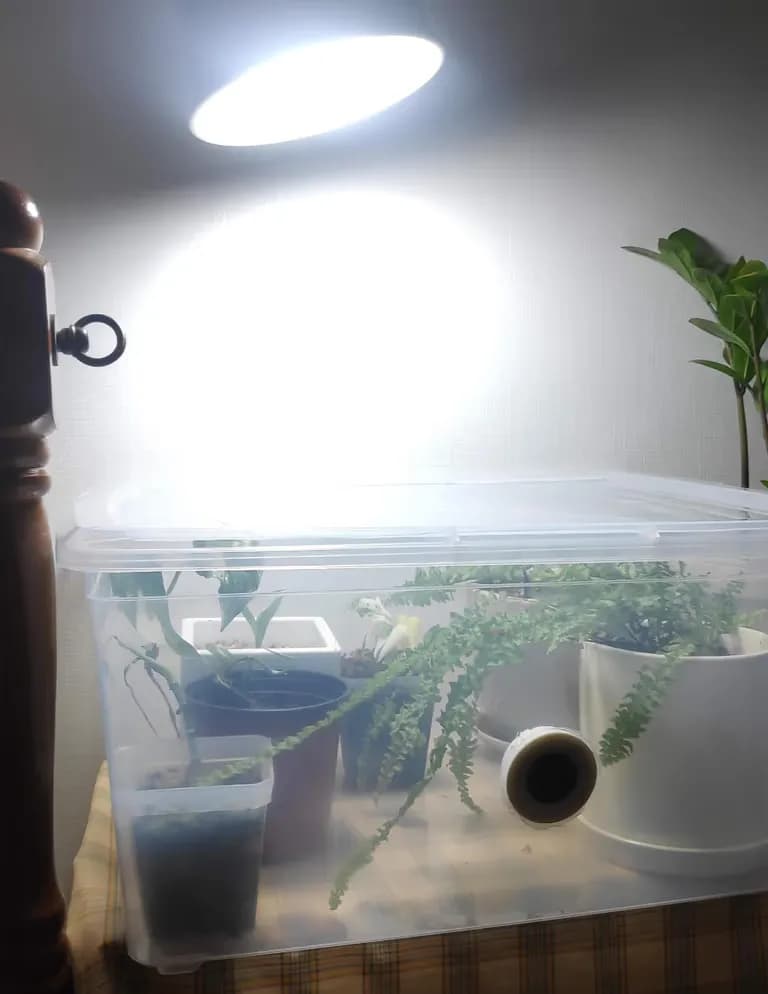 Crear un invernadero con cajas de Daiso-2