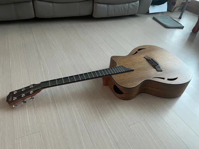 ユニークなギターを探す人のためのガイド-5