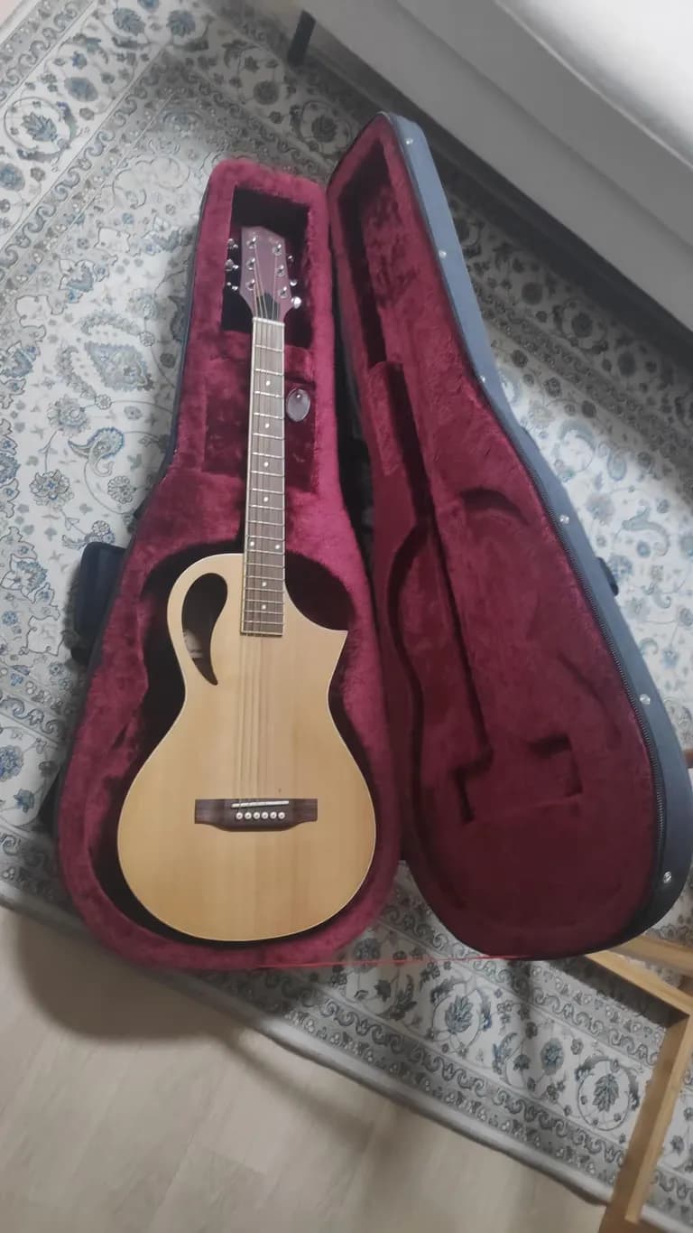 ユニークなギターを探す人のためのガイド-2