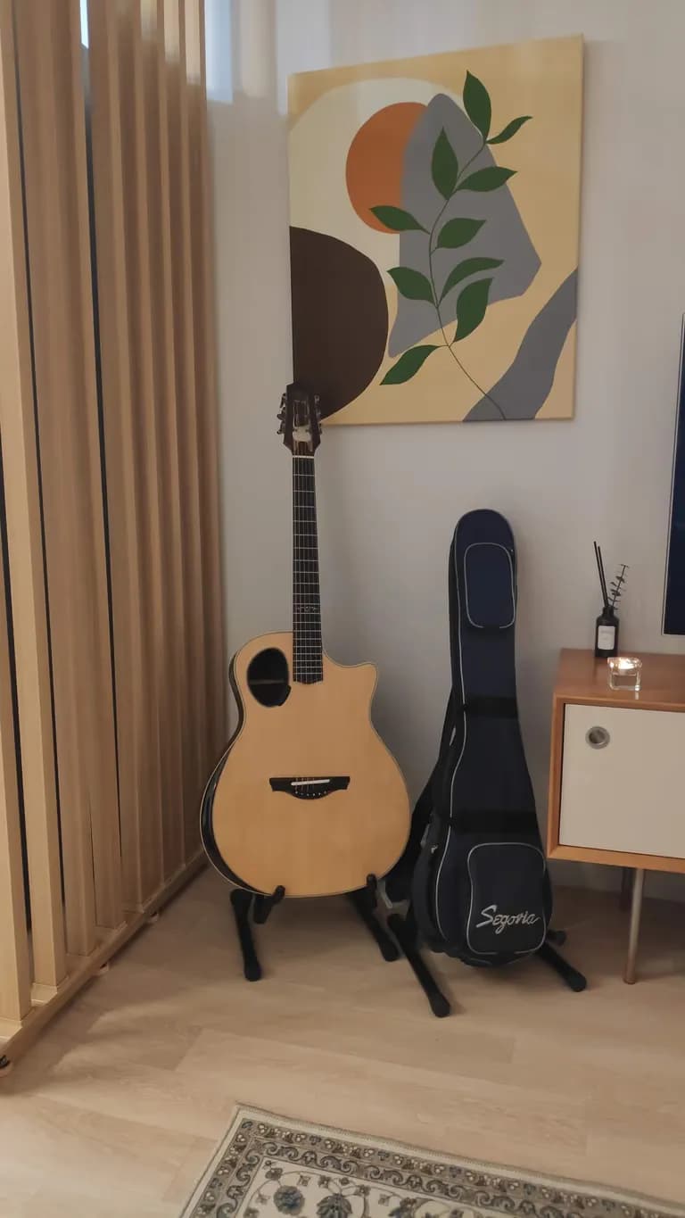 ユニークなギターを探す人のためのガイド-3