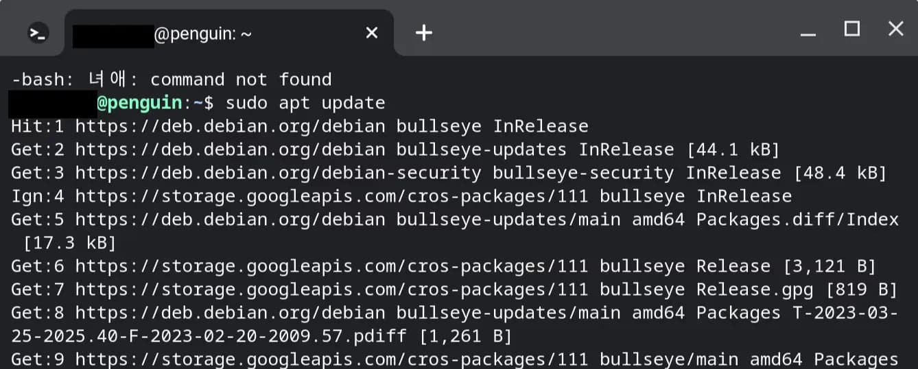 Configuración del entorno de desarrollo de Python en Chromebook escolar-9