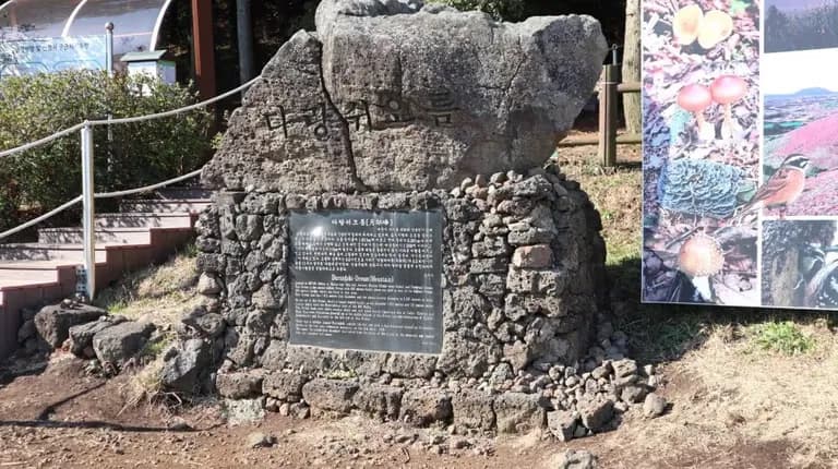 제주도 동쪽 오름 추천-16