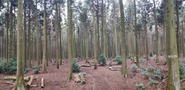 제주도 동쪽 오름 추천-21