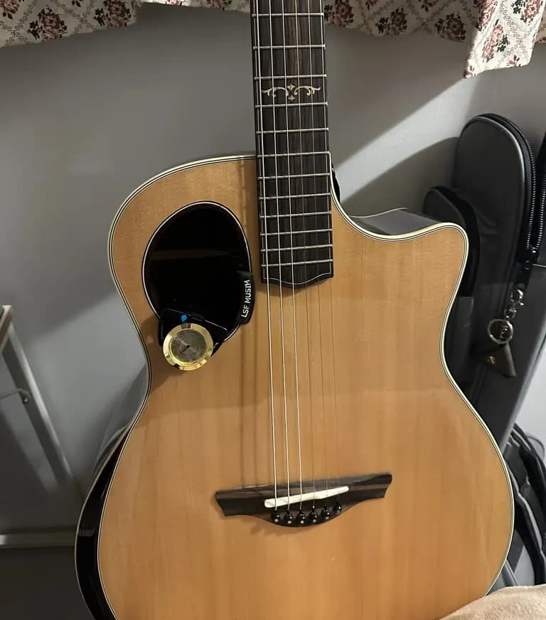 アリで買ったギターダンピットのレビュー-5