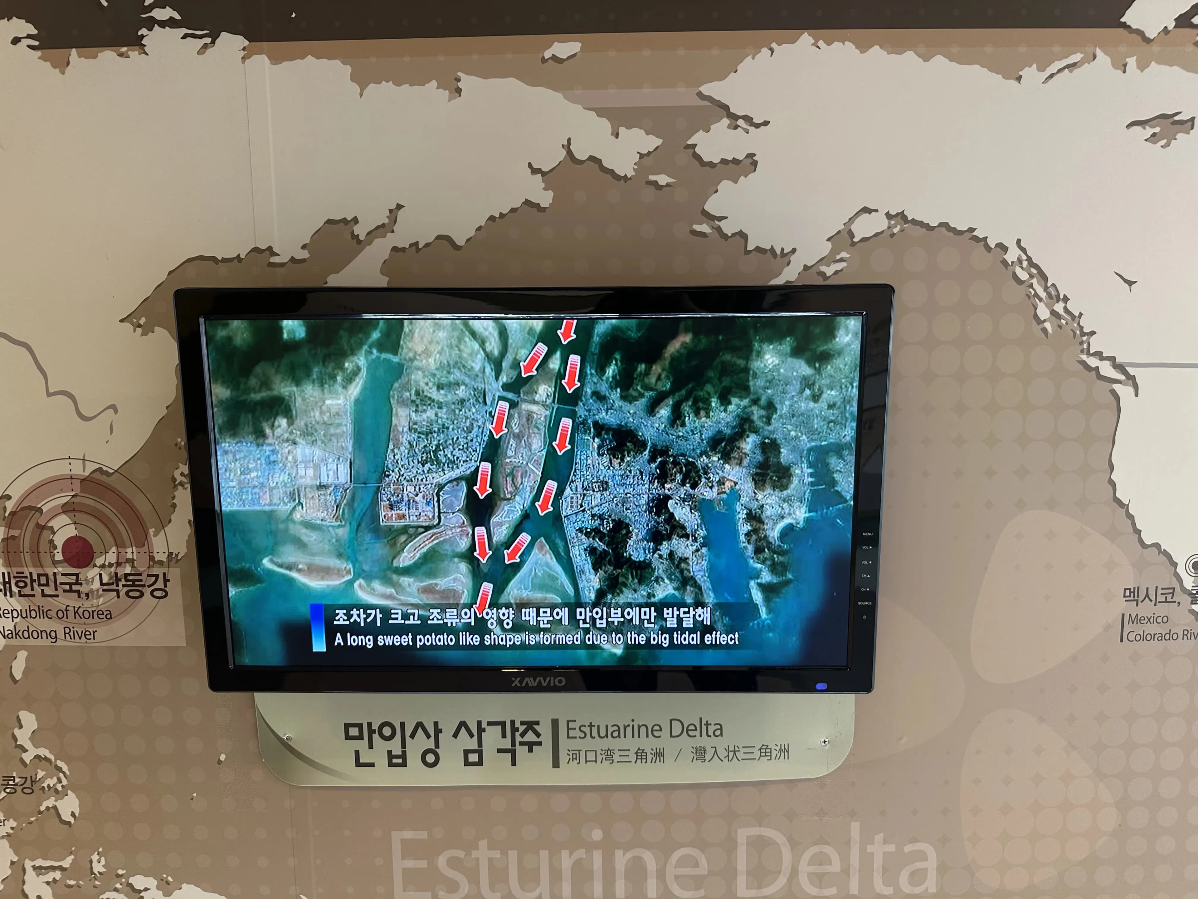 釜山国立ジオパーク アミ山展望台-16