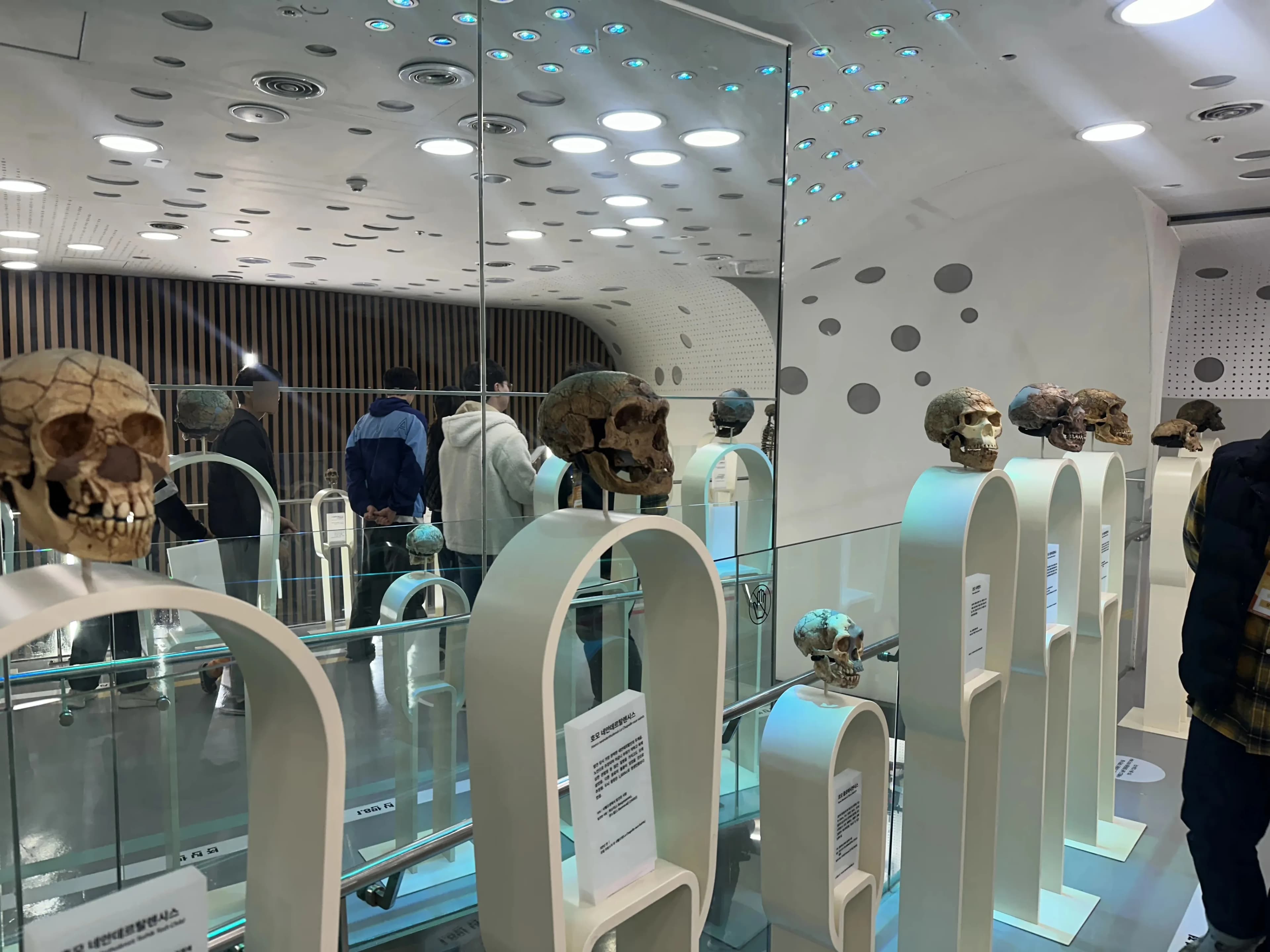 Gyeonggi Earth Science Education Research Association Winter Field Trip to Yeoncheon – Reflections-34