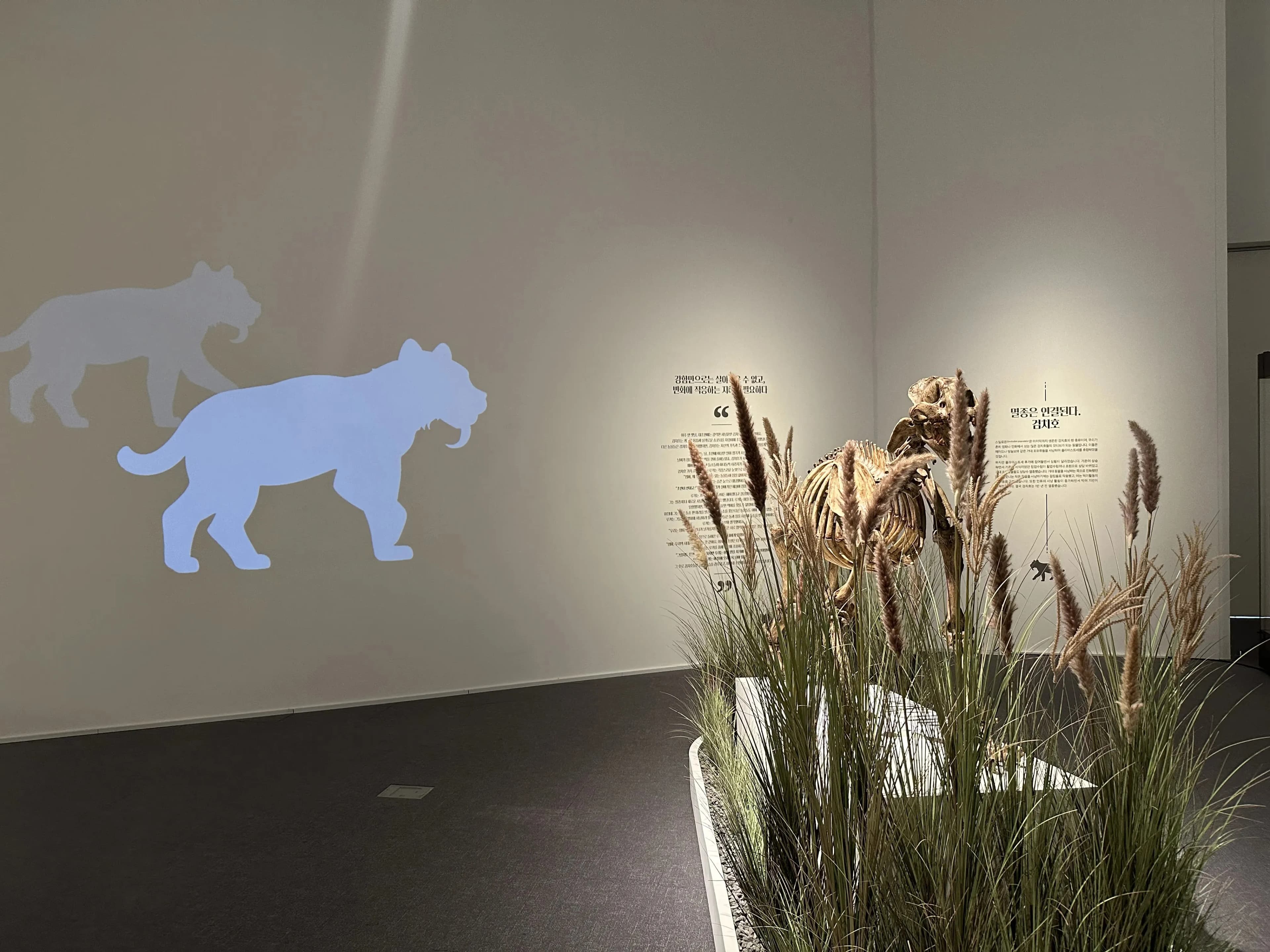 Gyeonggi Earth Science Education Research Association Winter Field Trip to Yeoncheon – Reflections-48