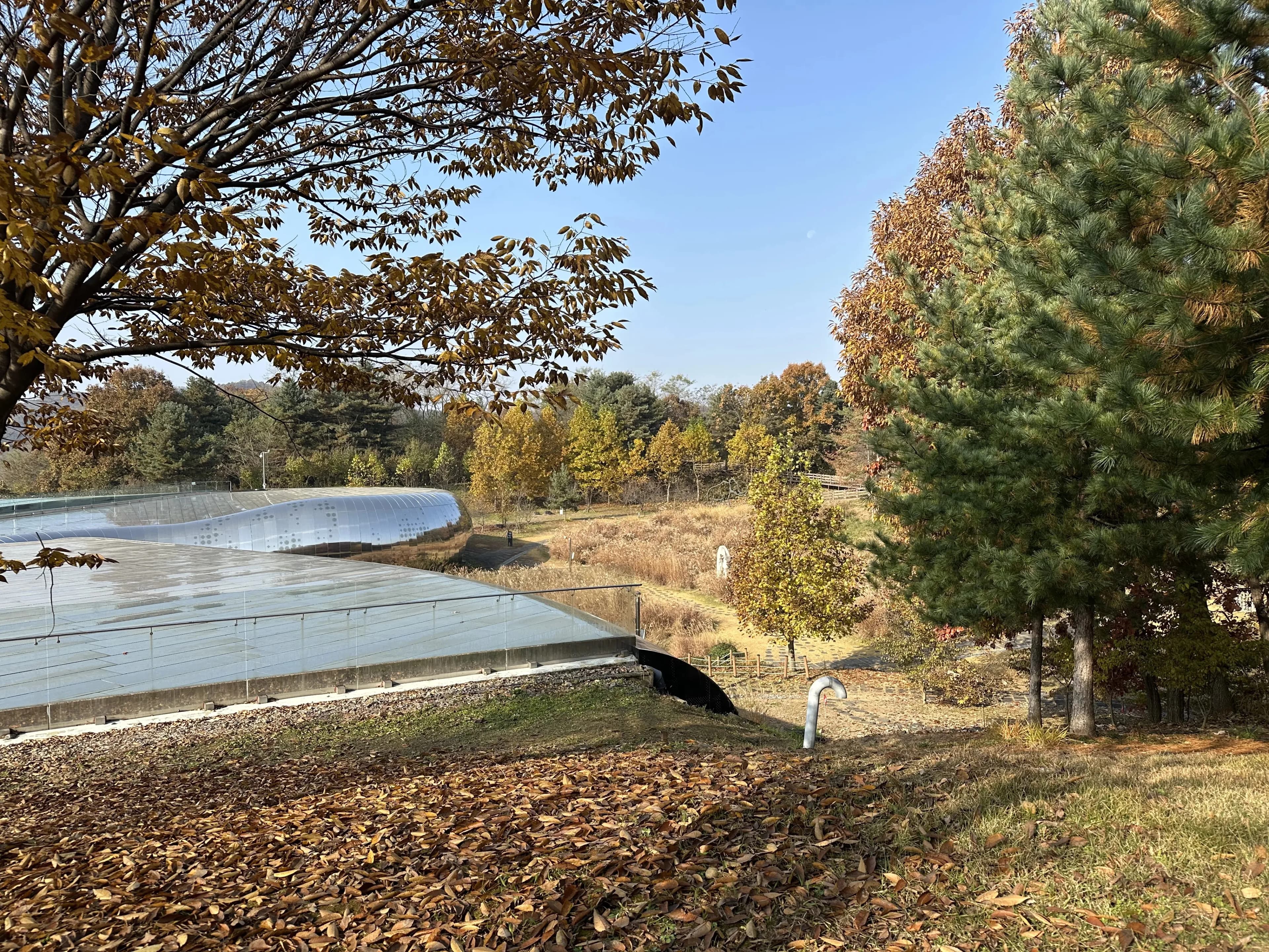 Gyeonggi Earth Science Education Research Association Winter Field Trip to Yeoncheon – Reflections-15