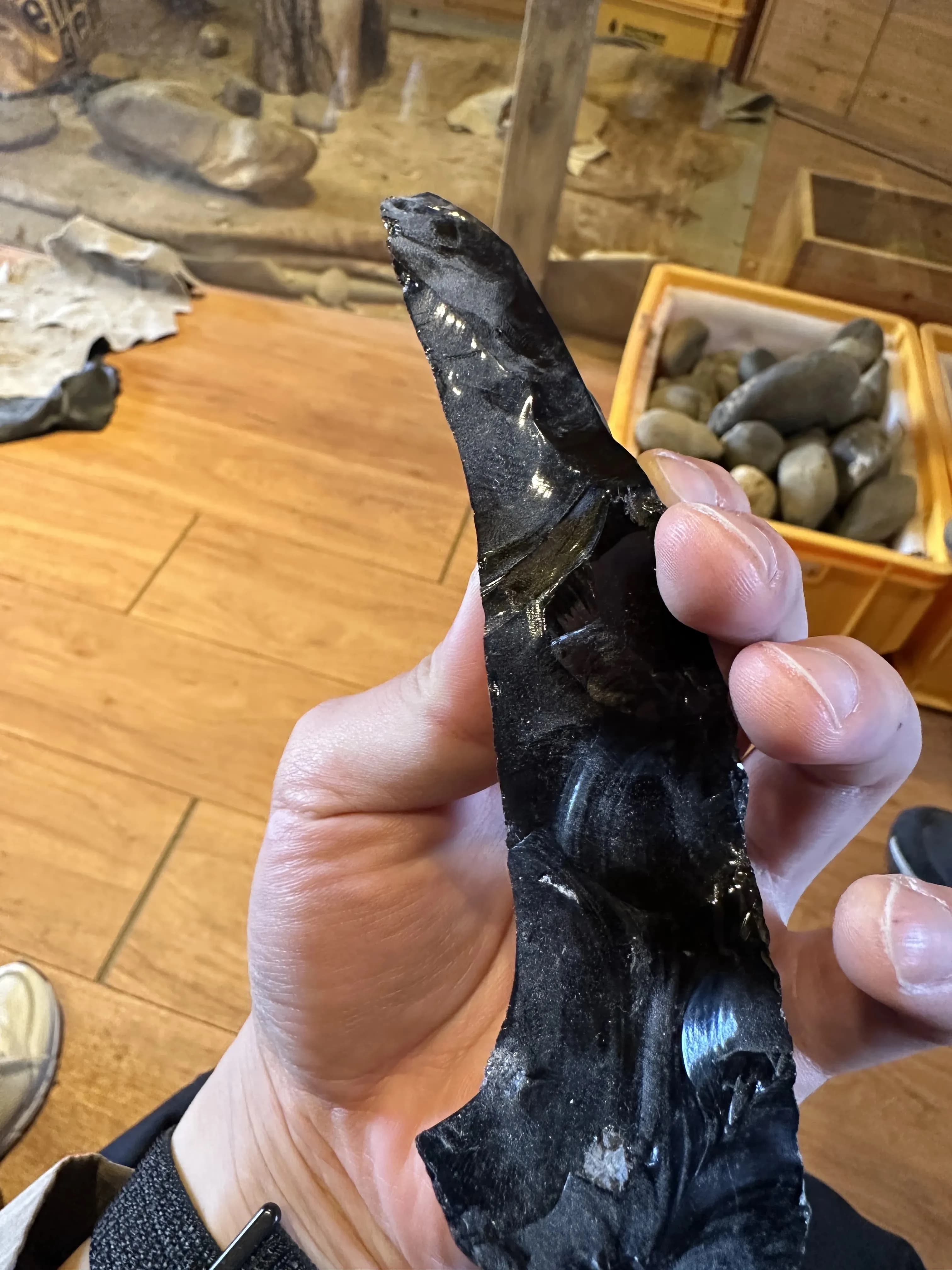 Gyeonggi Earth Science Education Research Association Winter Field Trip to Yeoncheon – Reflections-30