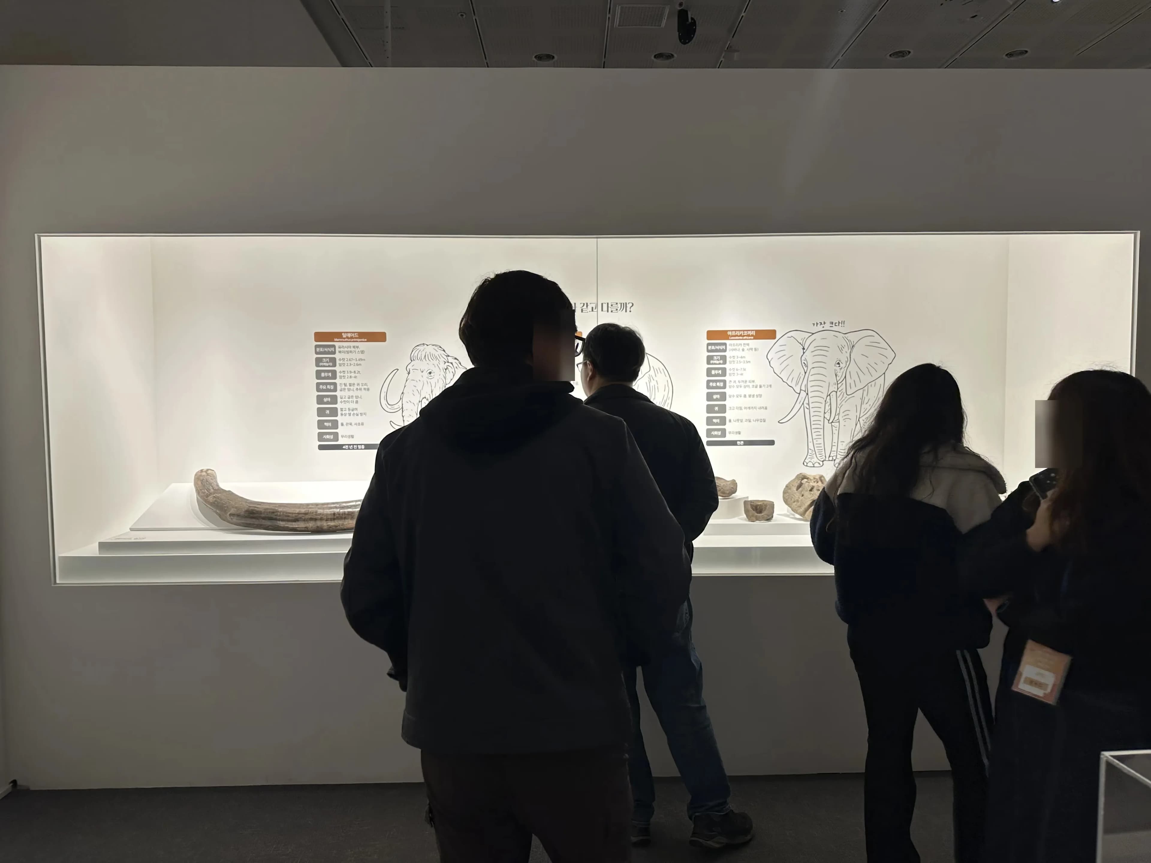 Gyeonggi Earth Science Education Research Association Winter Field Trip to Yeoncheon – Reflections-46