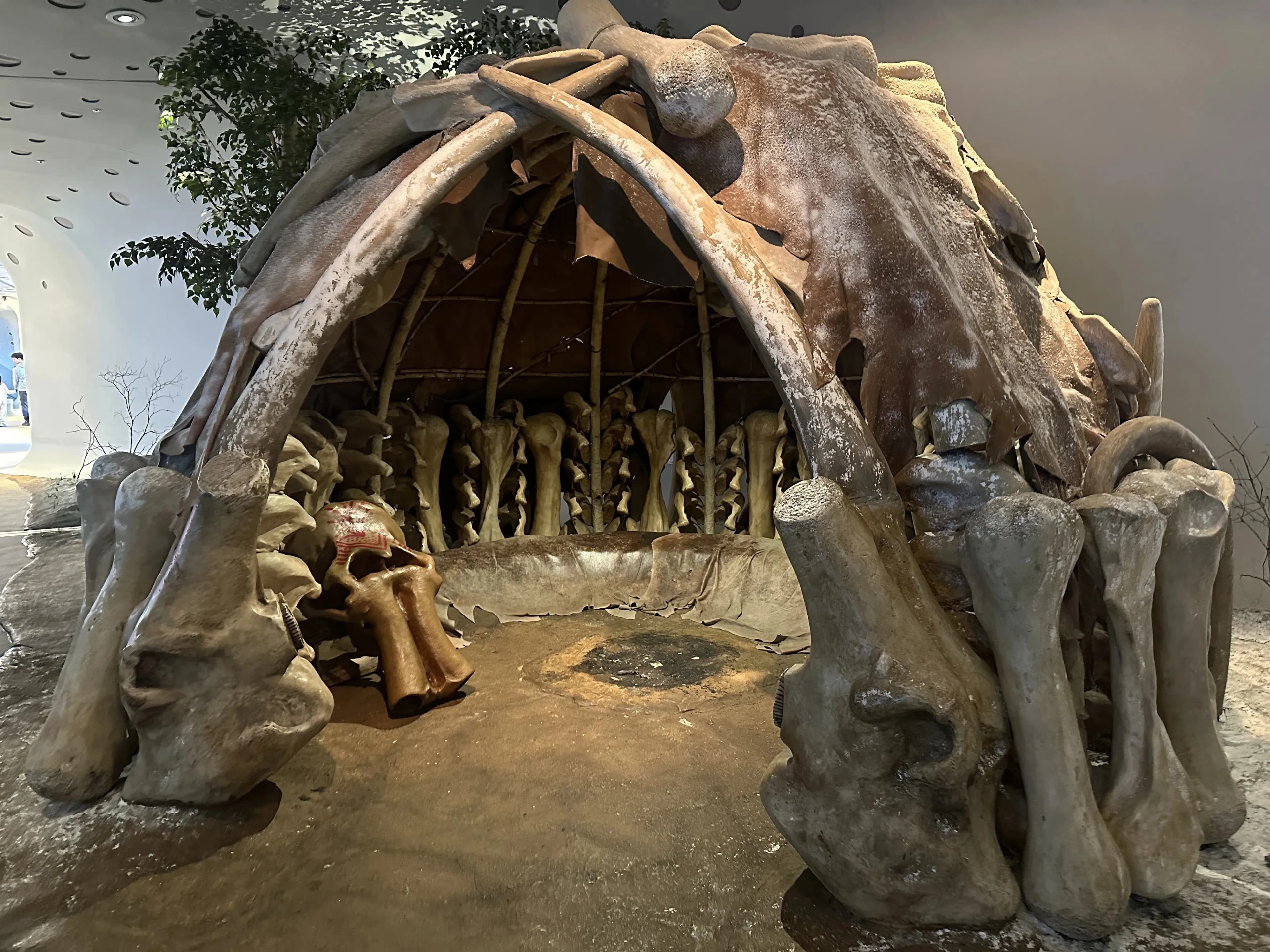 Gyeonggi Earth Science Education Research Association Winter Field Trip to Yeoncheon – Reflections-42