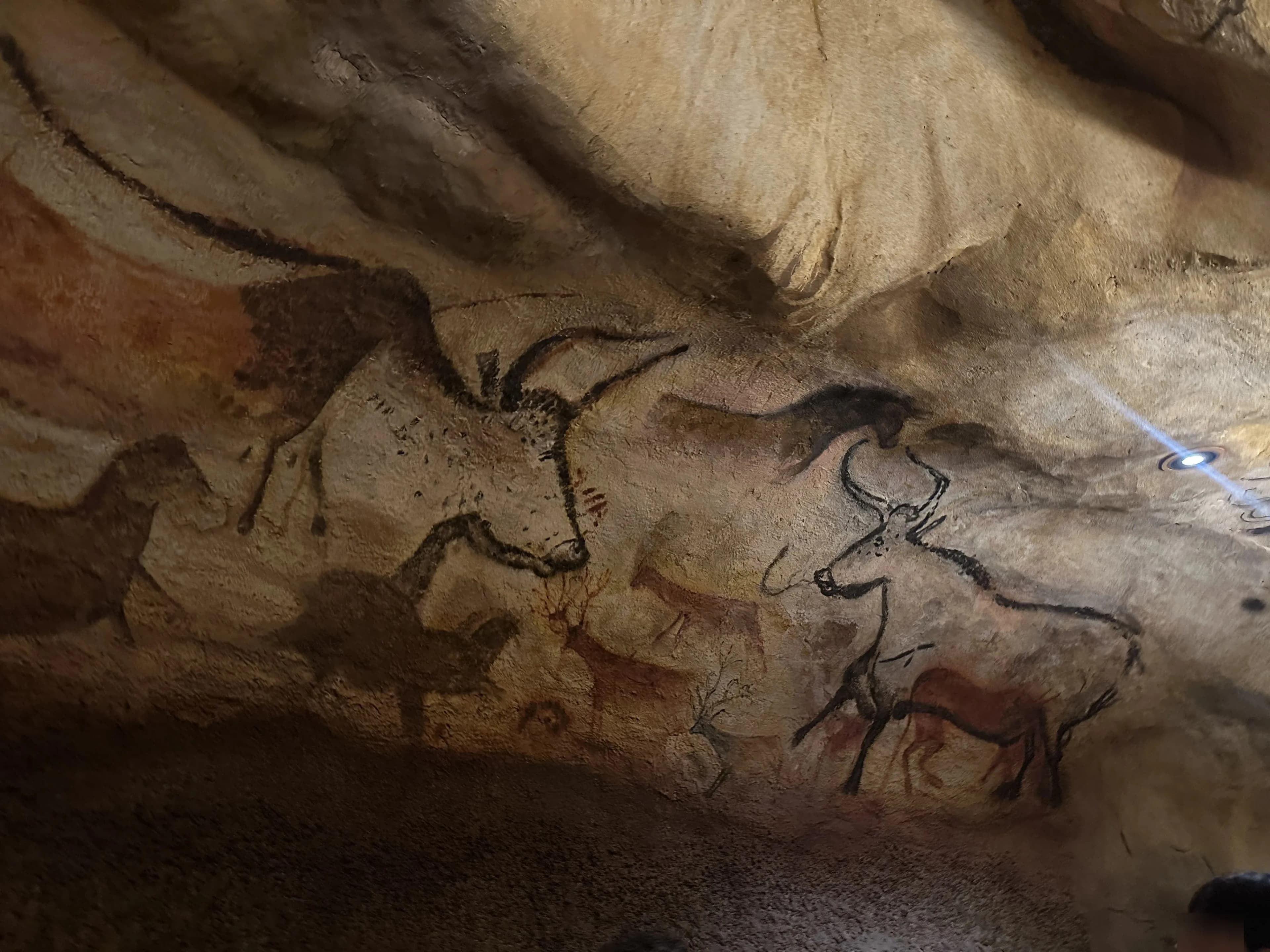 Gyeonggi Earth Science Education Research Association Winter Field Trip to Yeoncheon – Reflections-44