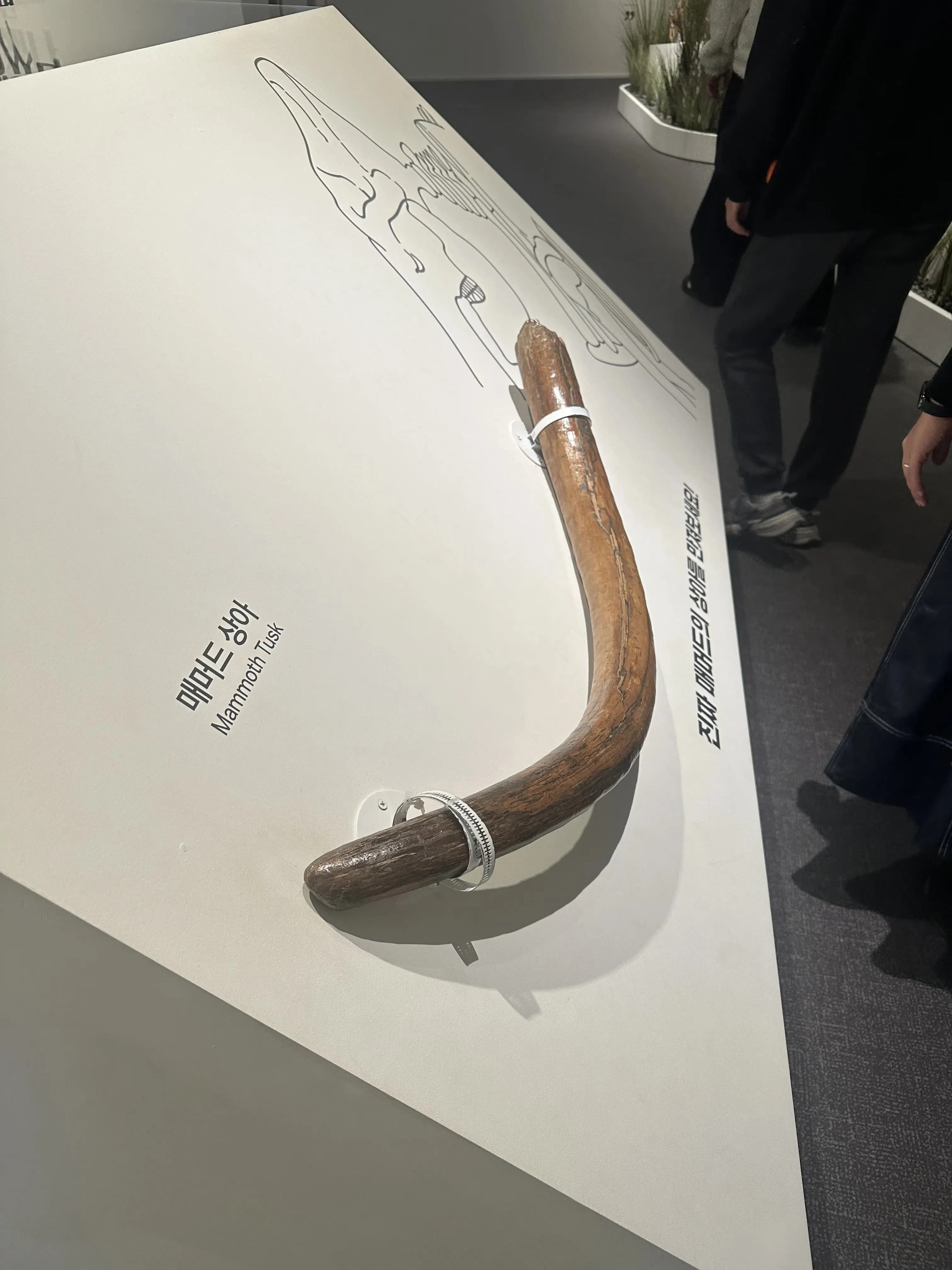 Gyeonggi Earth Science Education Research Association Winter Field Trip to Yeoncheon – Reflections-45