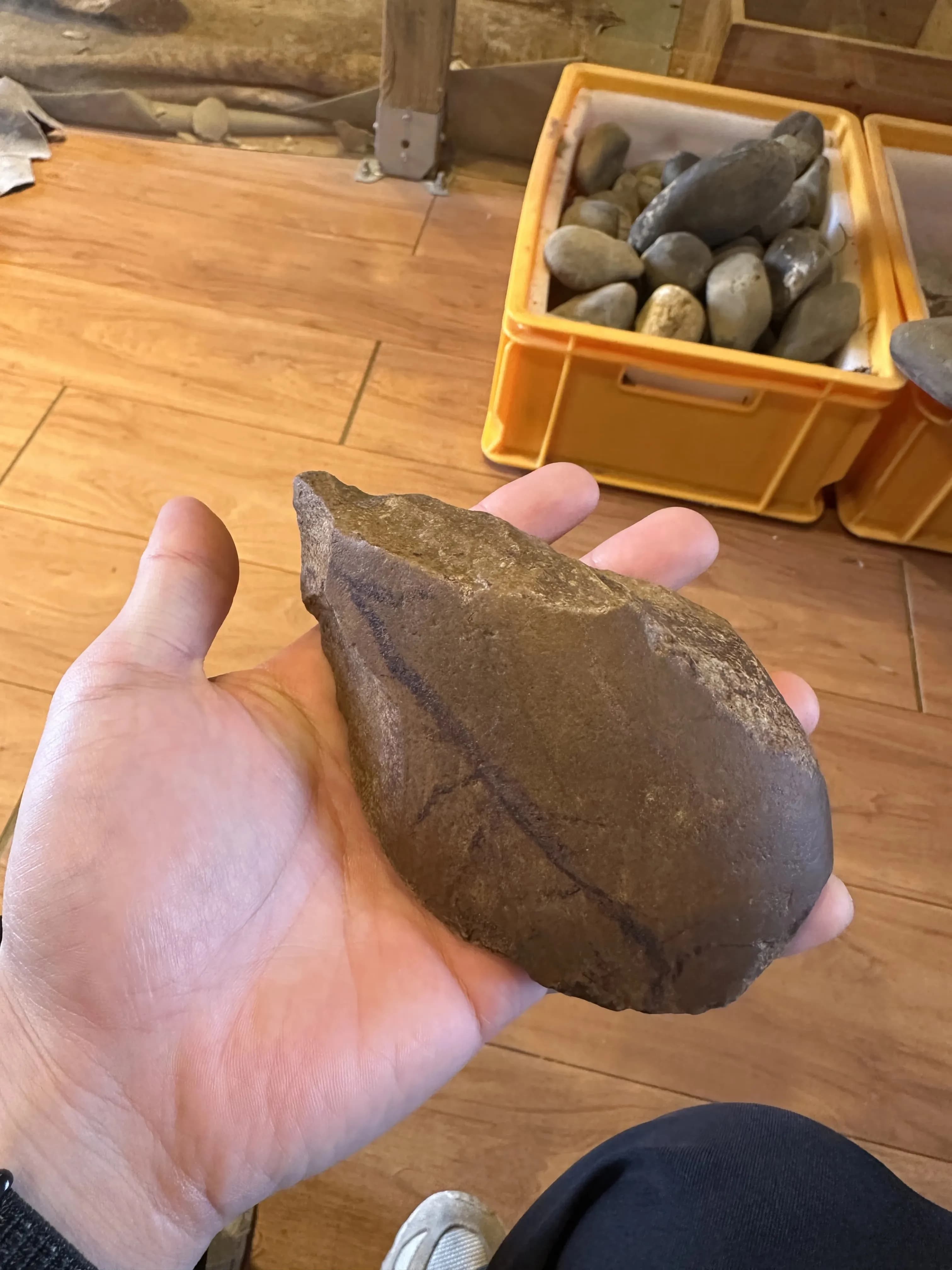 Gyeonggi Earth Science Education Research Association Winter Field Trip to Yeoncheon – Reflections-29