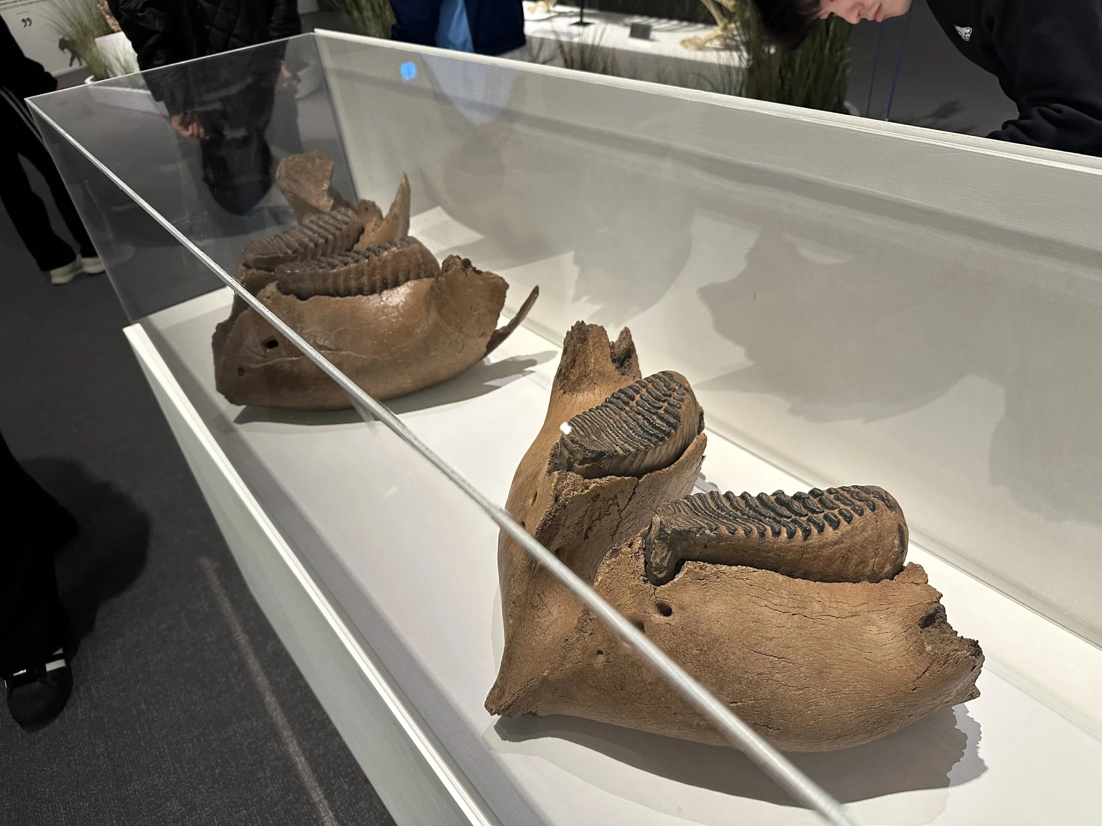 Gyeonggi Earth Science Education Research Association Winter Field Trip to Yeoncheon – Reflections-47