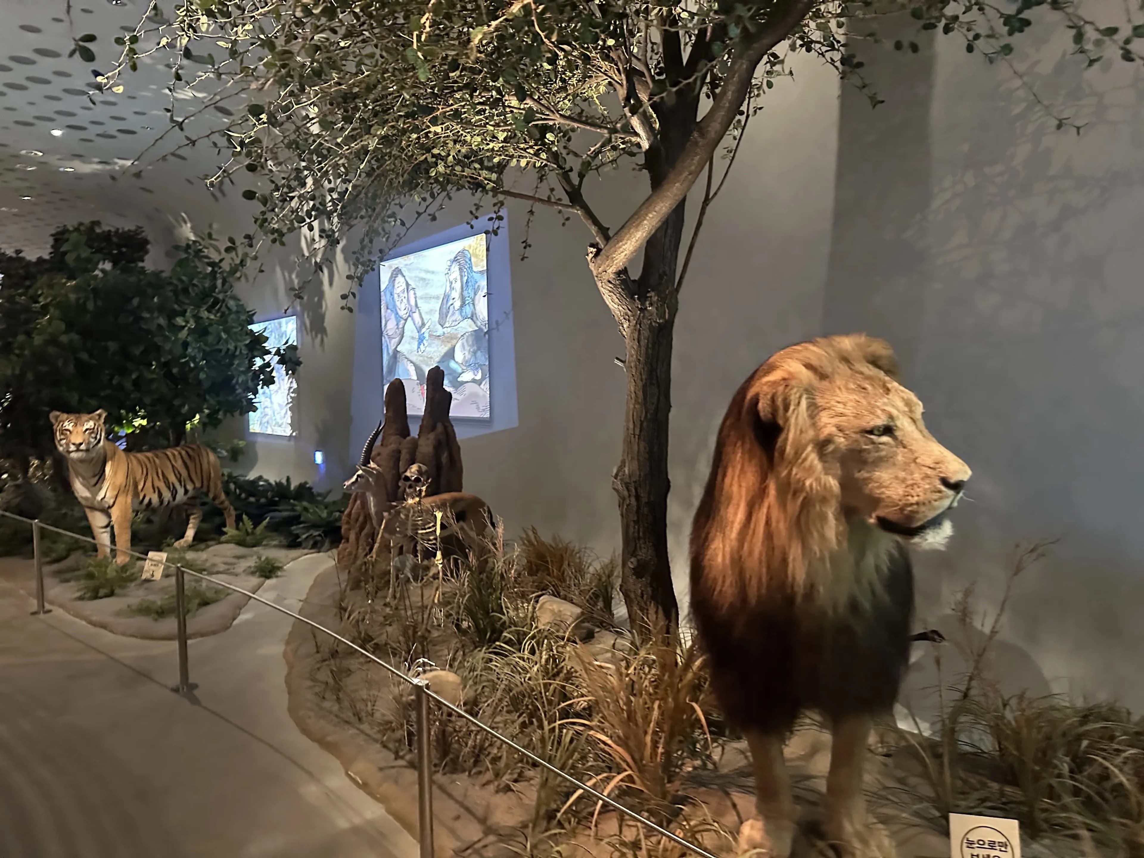 Gyeonggi Earth Science Education Research Association Winter Field Trip to Yeoncheon – Reflections-39