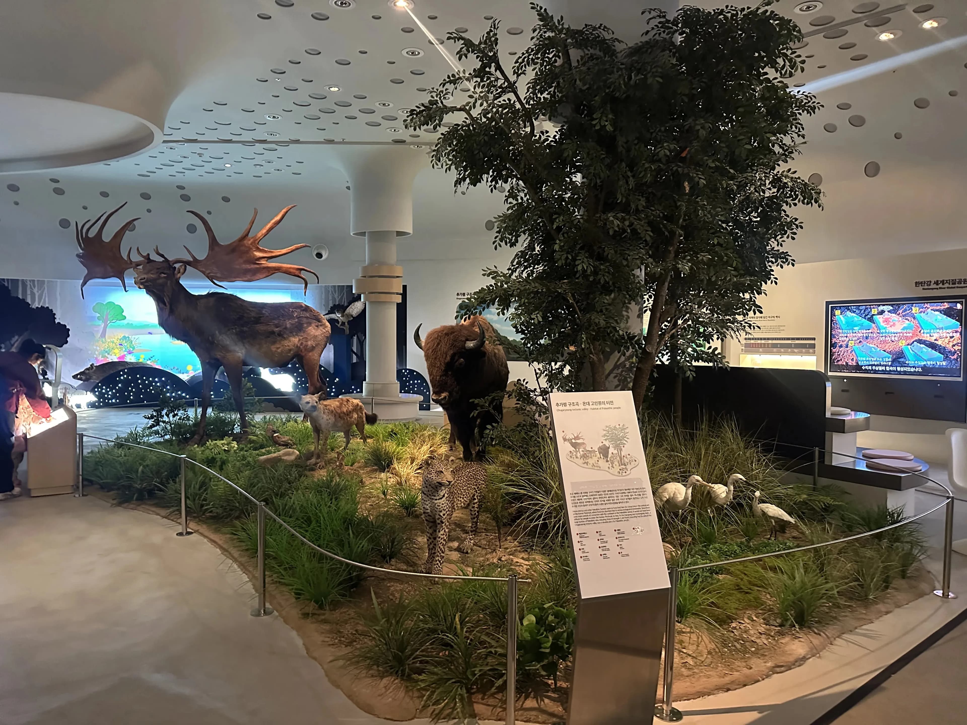 Gyeonggi Earth Science Education Research Association Winter Field Trip to Yeoncheon – Reflections-41