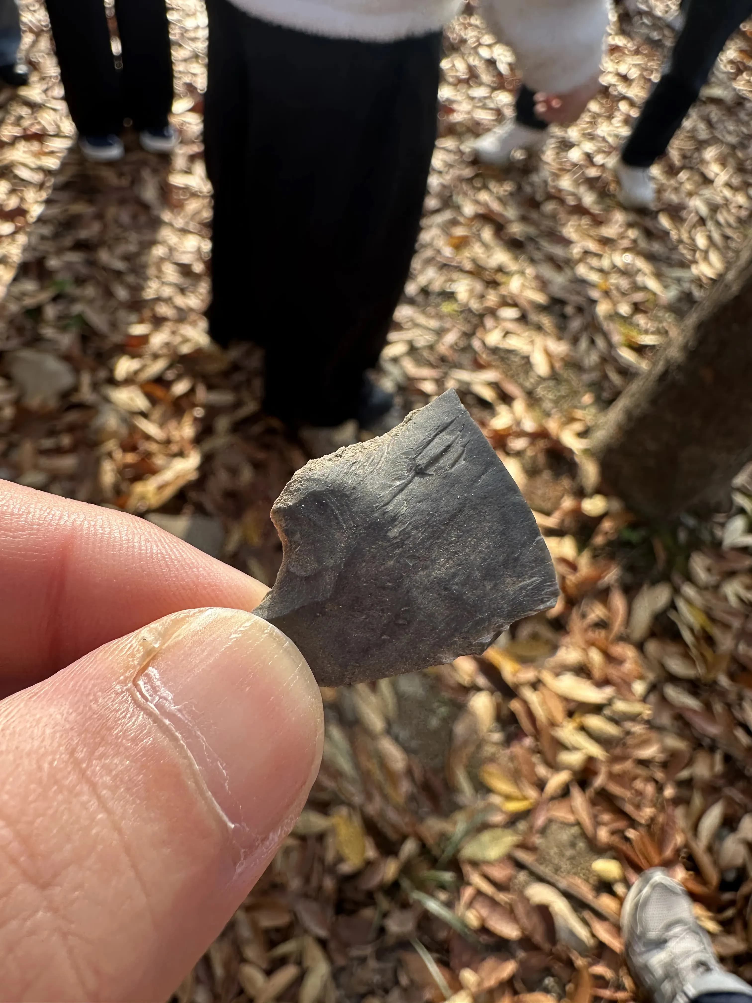 Gyeonggi Earth Science Education Research Association Winter Field Trip to Yeoncheon – Reflections-16