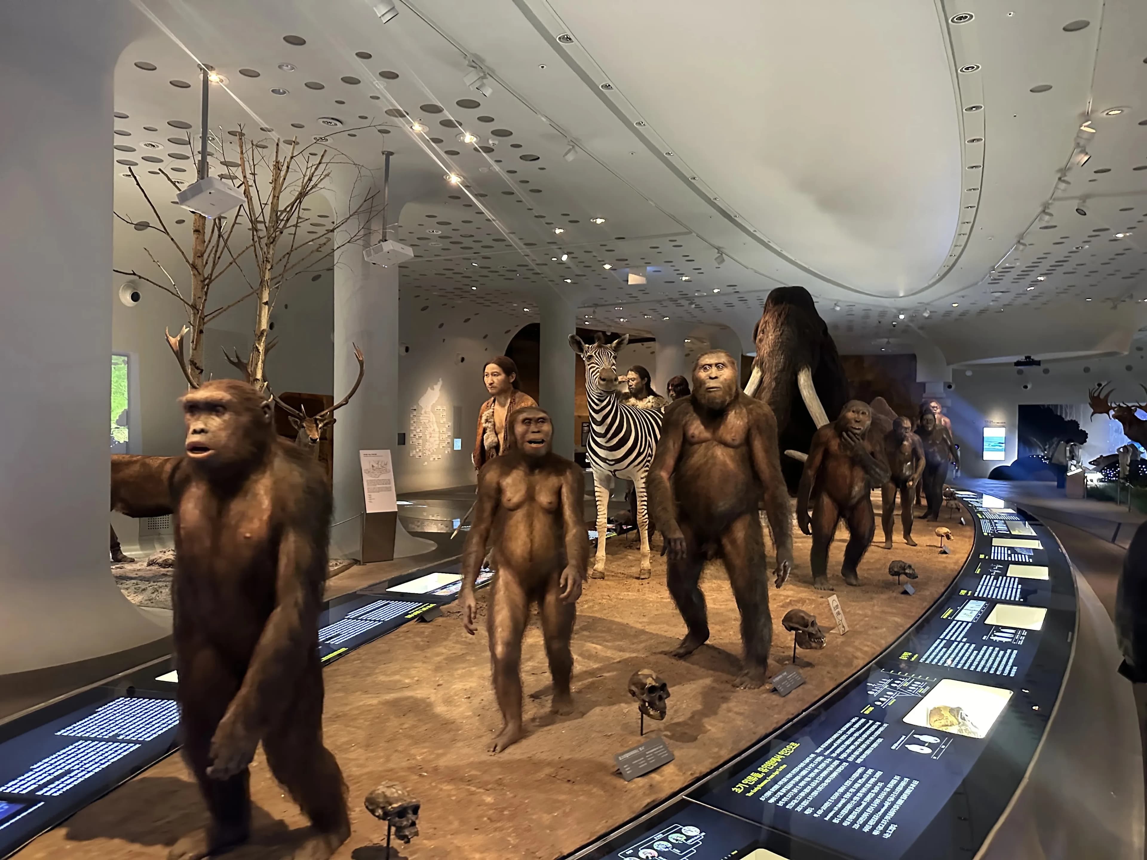 Gyeonggi Earth Science Education Research Association Winter Field Trip to Yeoncheon – Reflections-40