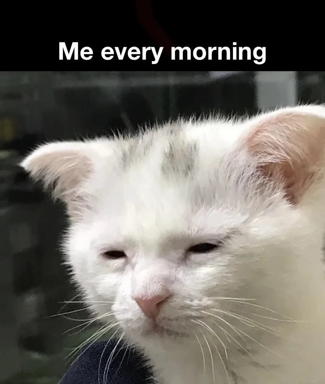 Teacher Training in Educational Research and Statistical Analysis – Sessions 10–12: Coefficient of Determination, Multiple Regression Analysis, etc.-1