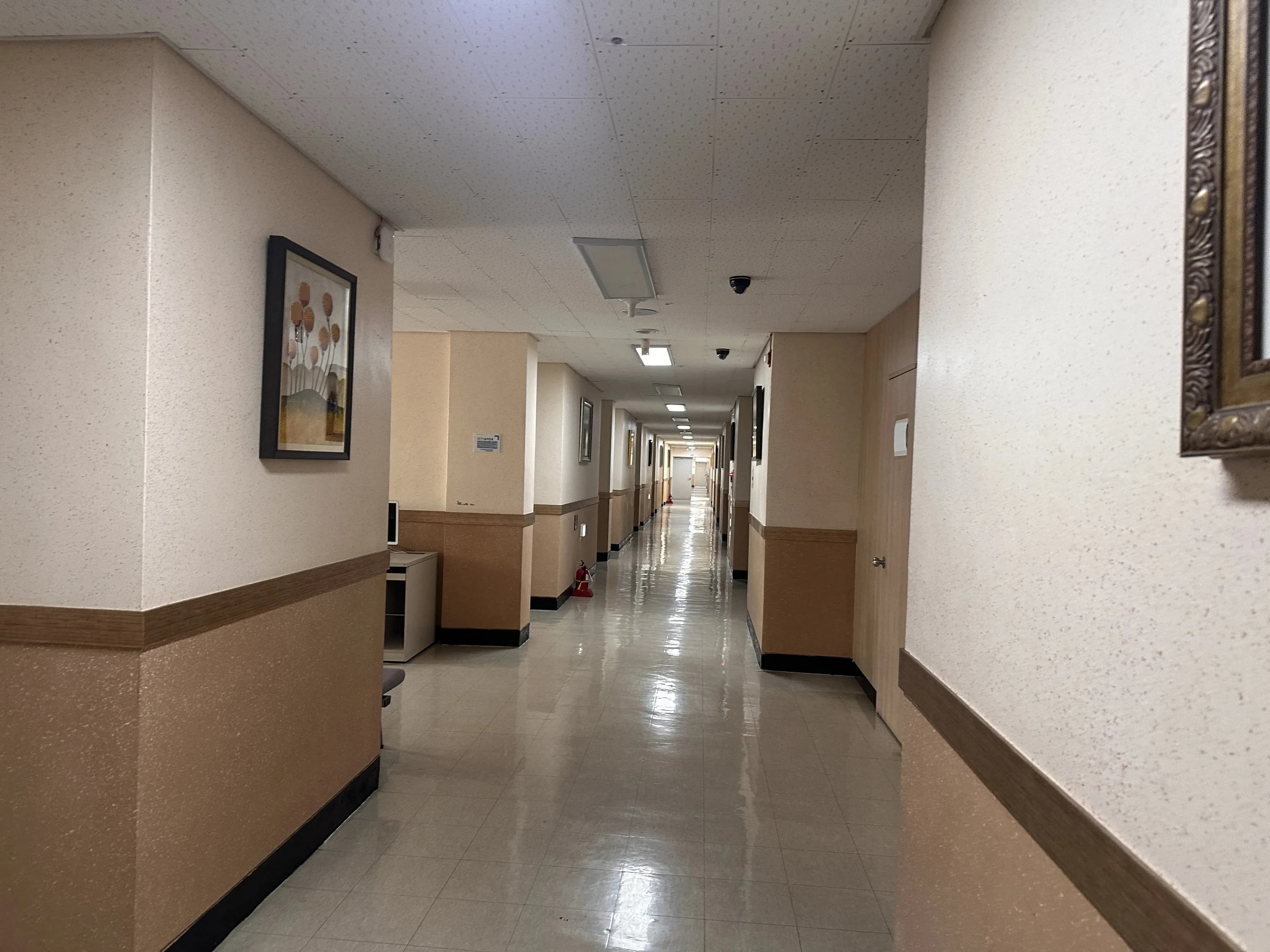 Reseña del curso de formación en un área especial de la Agencia Global para el Fomento de Habilidades (GIFA) - Formación en carpintería-5