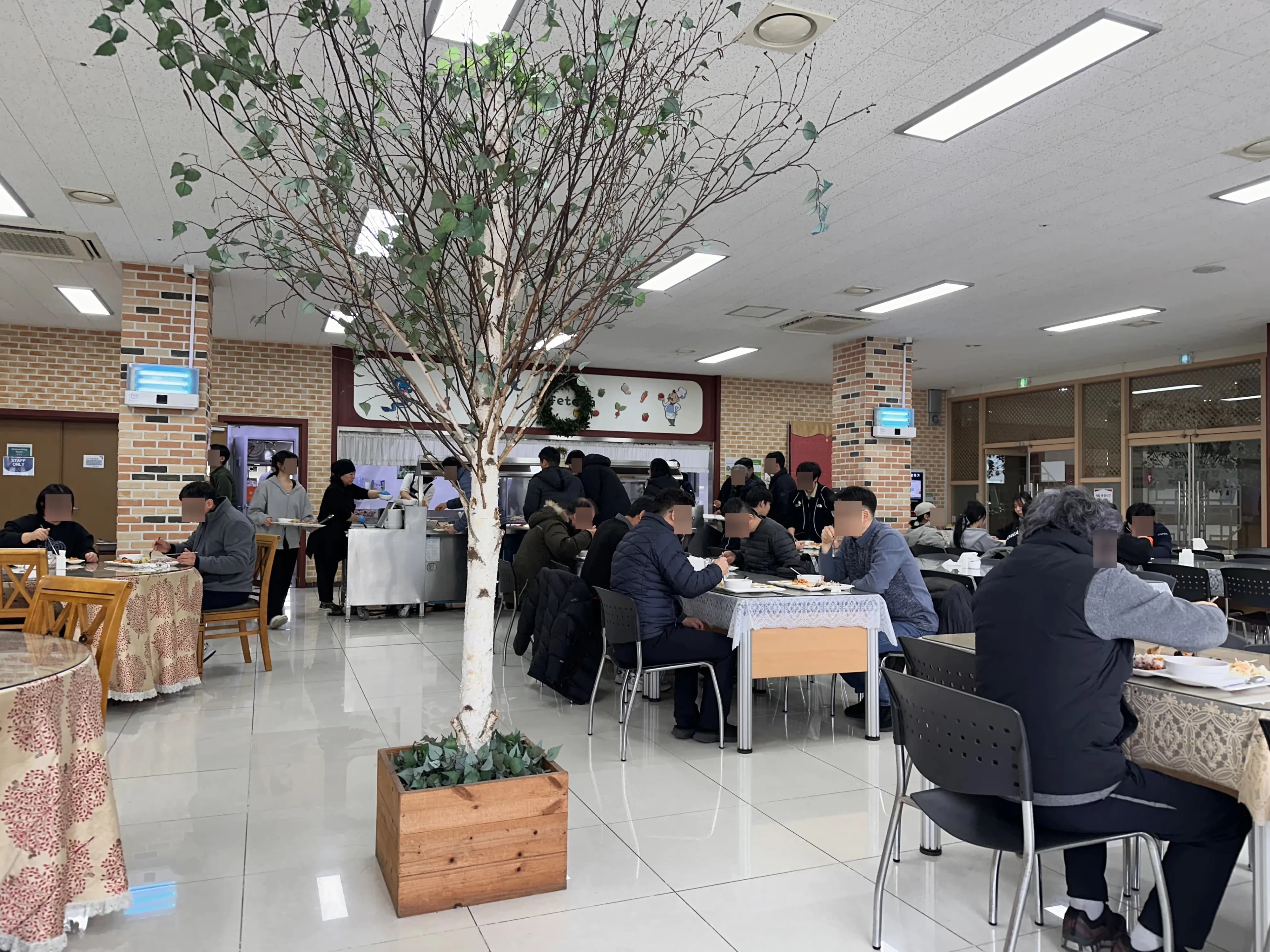 Reseña del curso de formación en un área especial de la Agencia Global para el Fomento de Habilidades (GIFA) - Formación en carpintería-14