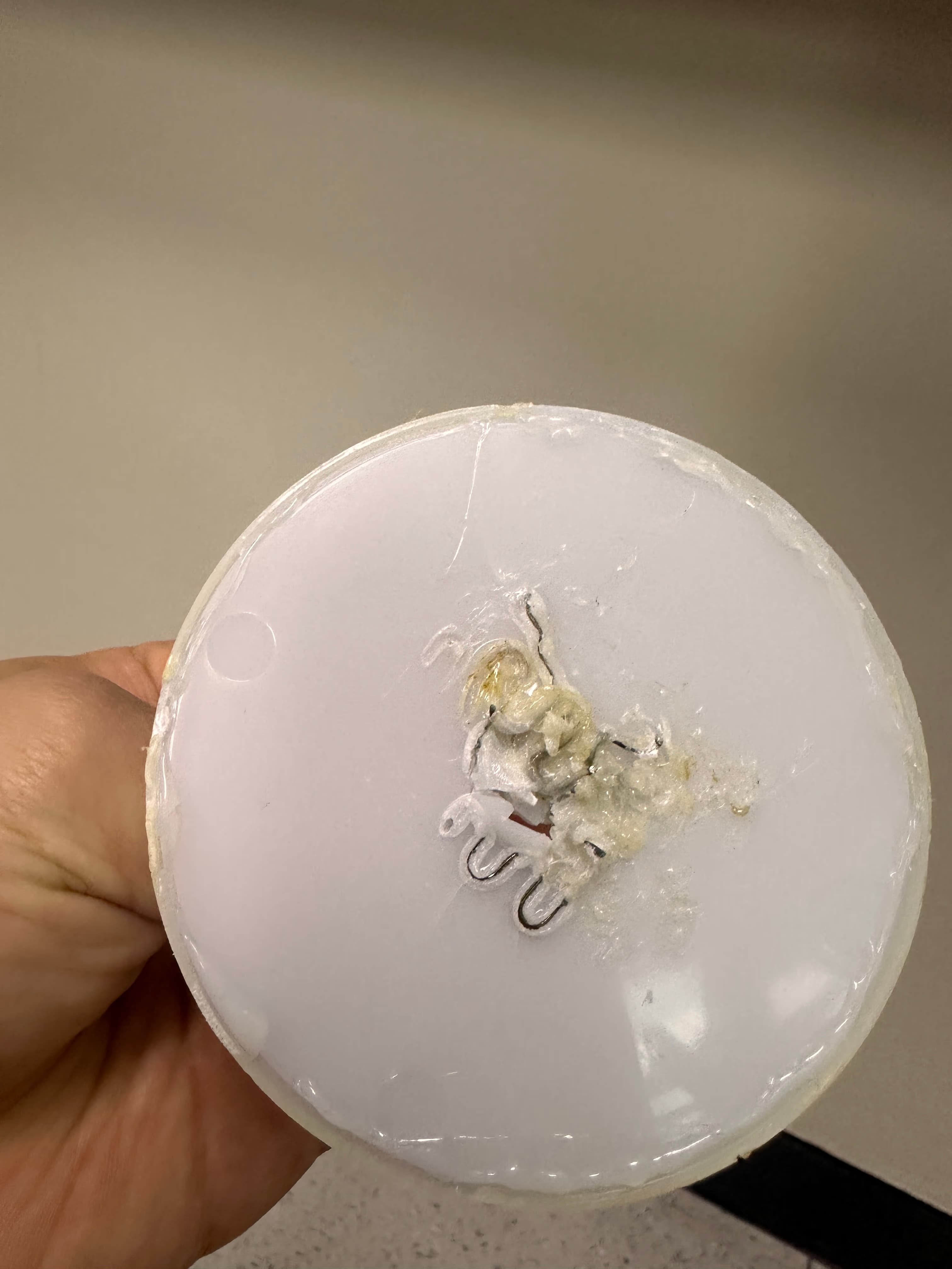 부러진 렉슨 미나(LEXON MINA) 수리하기 완결판-4