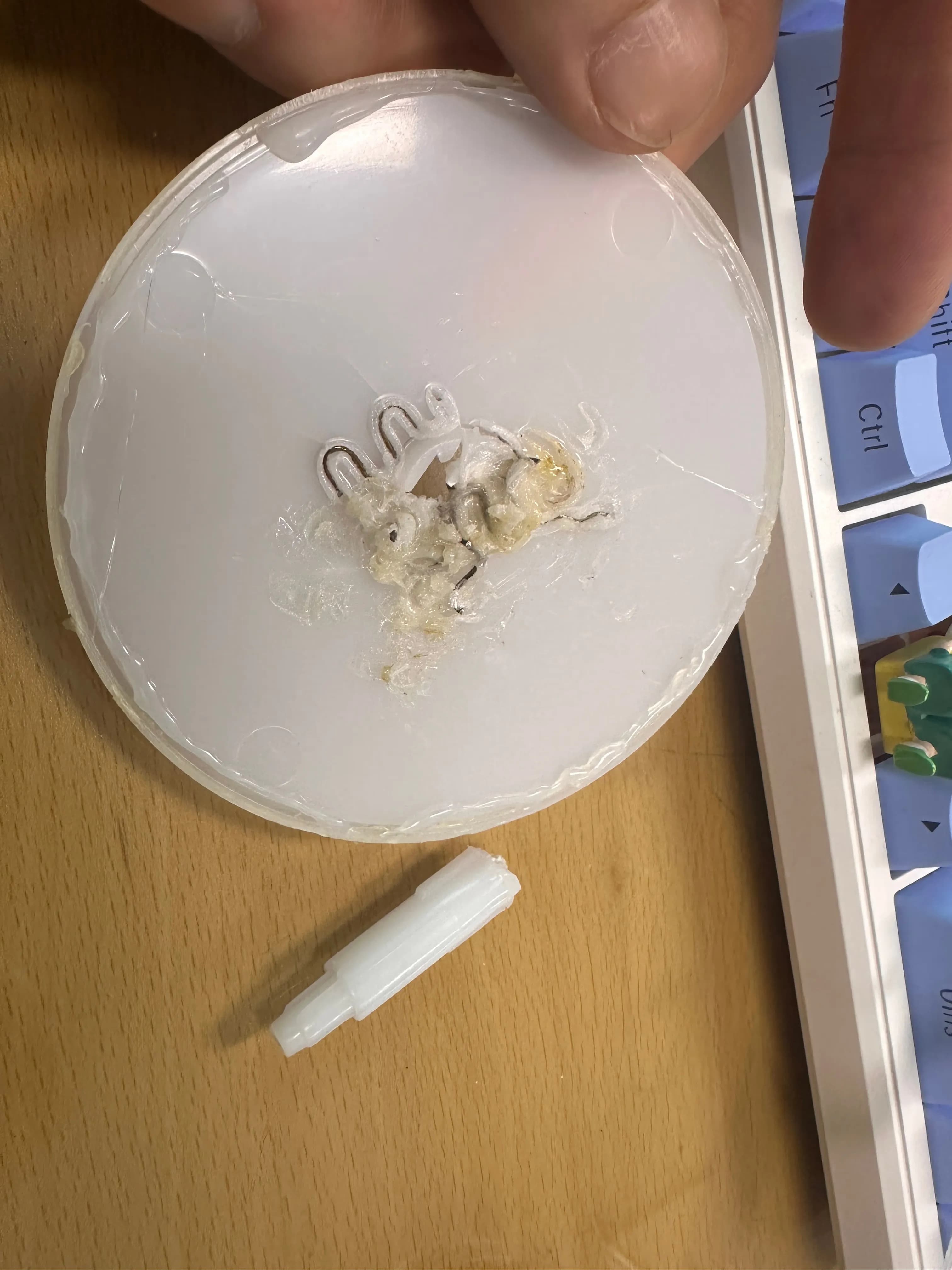 折れてしまった LEXON MINA（レクソン ミナ）を修理してみた・完結編-5