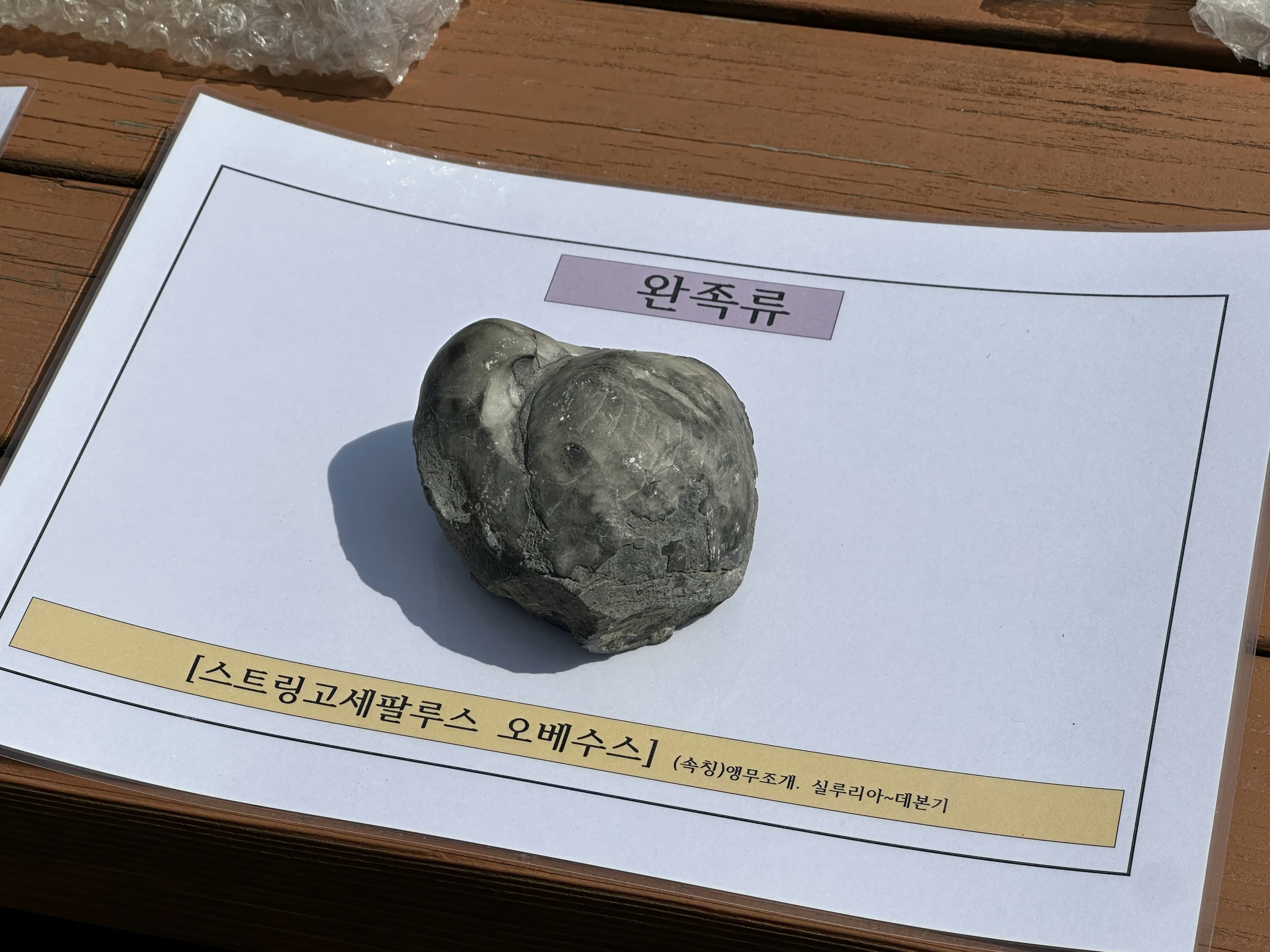 화성 공룡알 화석산지, 화성국가지질공원 탐방 후기-1