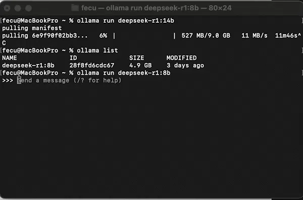 Deepseek R1 のインストールと Web サービスとしての実装方法-4